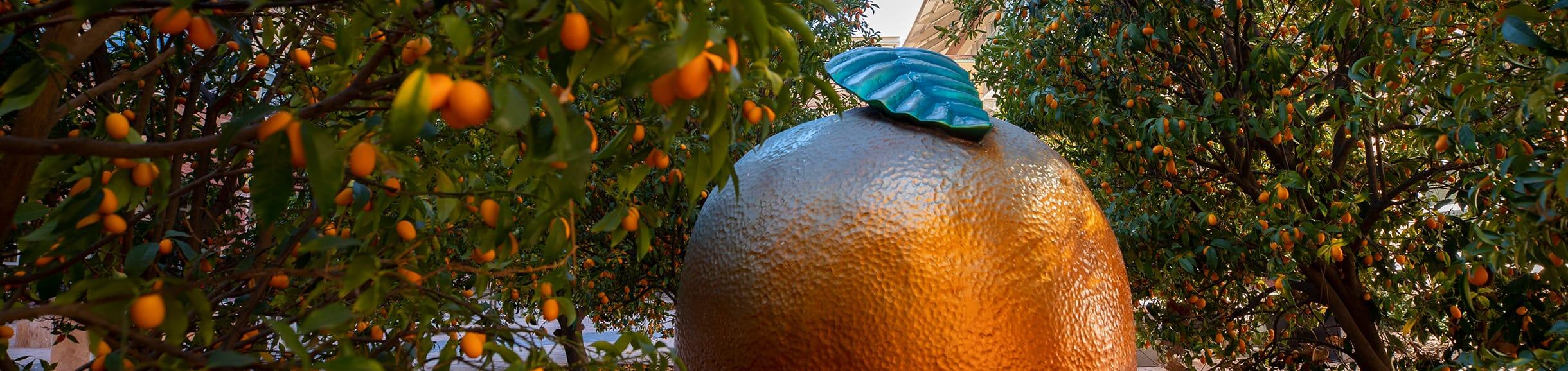 Orange Statue in an Orange Grove