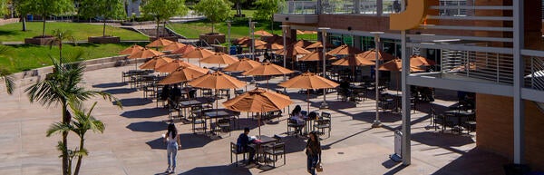 Campus view from the air