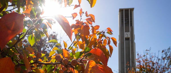 campus fall image