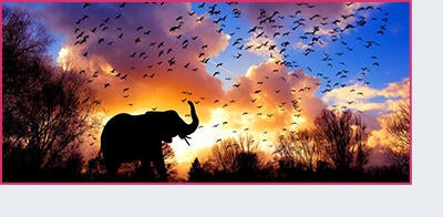 South Africa